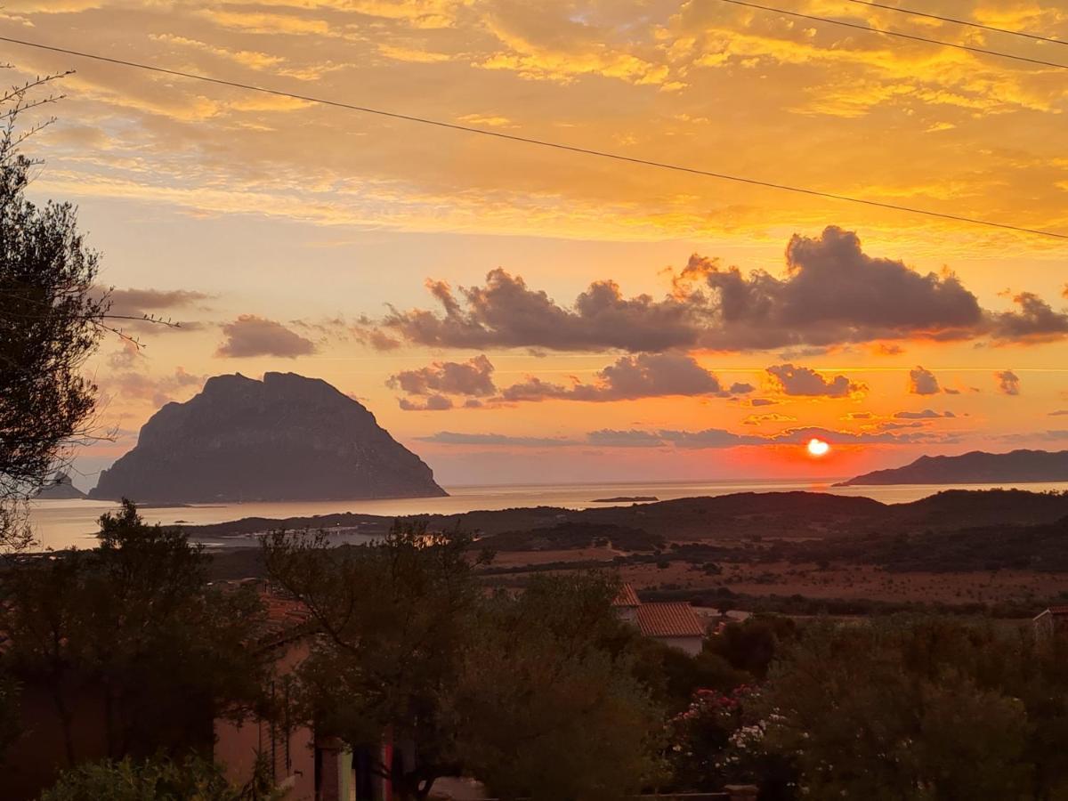 Holiday Homes Porto San Paolo  Εξωτερικό φωτογραφία