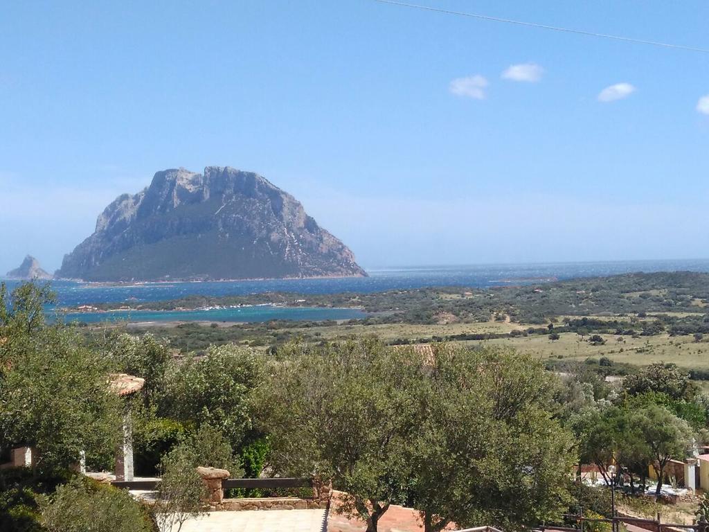 Holiday Homes Porto San Paolo  Εξωτερικό φωτογραφία